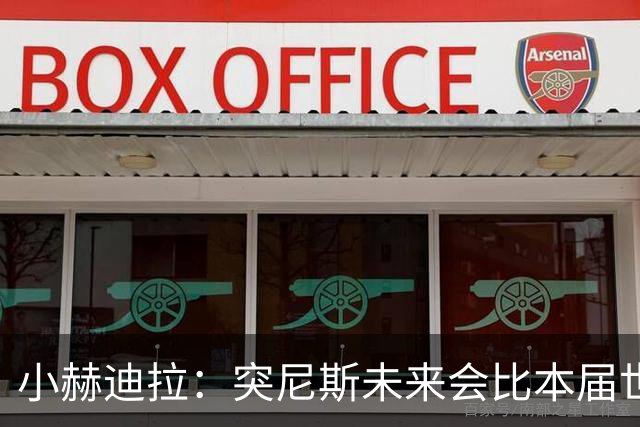 小赫迪拉：突尼斯未来会比本届世界杯更好 批评？我已经付出全力