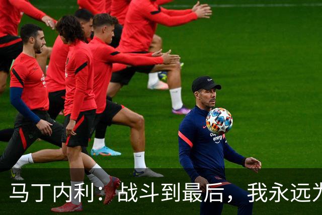 马丁内利：战斗到最后，我永远为阿森纳队徽而战